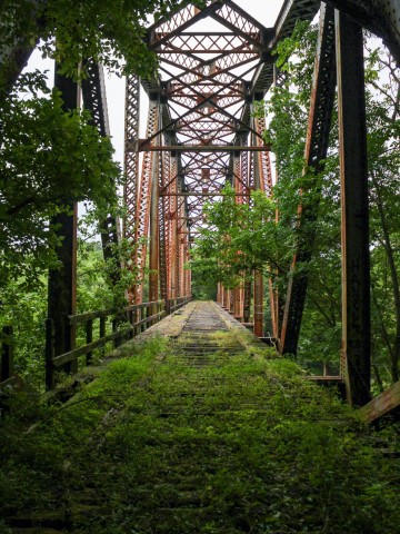 Image of Forgotten Train Bridge by Fiona Morgan from Danville
